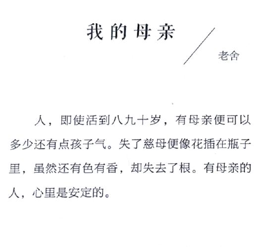 盐之味:母亲的烹饪智慧与家庭情感盐母 1:家的味道,母亲的爱盐母 2:厨房的故事,母亲的情盐母 3:烹饪的艺术,母亲的传承盐母 4:餐桌上的回忆,母亲的温暖盐母 5:美食与家庭,母亲的纽带盐母 6:母爱与味道,永恒的记忆