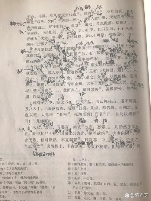古代人生促织大赛攻略,促织大赛搭配推荐与未来玩法革命预测