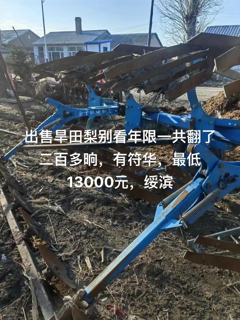 古代人生旱田种植攻略一览,旱田种植什么农作物最好