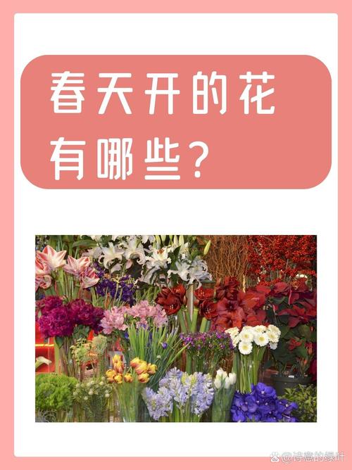 提问:你知道吗?樱花为什么会在春天开花?:🌸探寻樱花春天开花的奥秘,你想知道吗?🌸