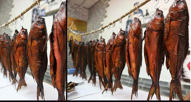 猫语咖啡钓鱼奇遇,香肠鱼、榴莲与彩虹鱼的梦幻捕捉指南
