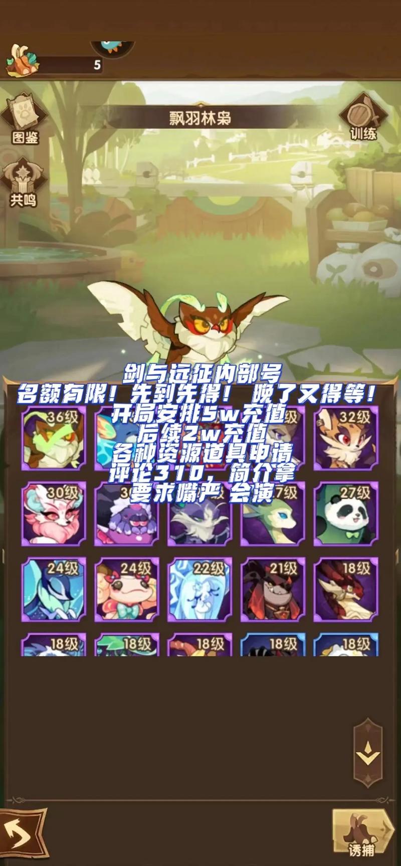 剑与远征新手攻略,猴子、羊头还是火女做主C更好?