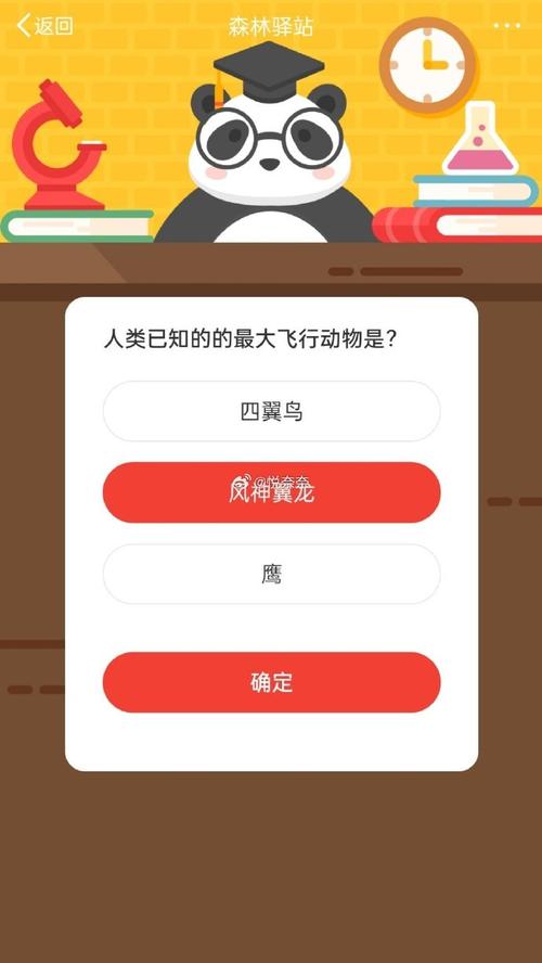 森林驿站揭秘,1月8日小课堂,谁才是森林中的飞毛腿?