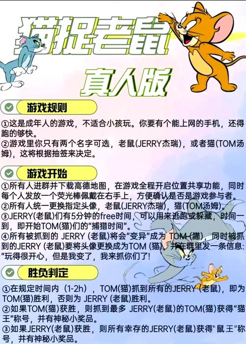 喵与筑玩法详细介绍与特色玩法解读,探索未来游戏革命