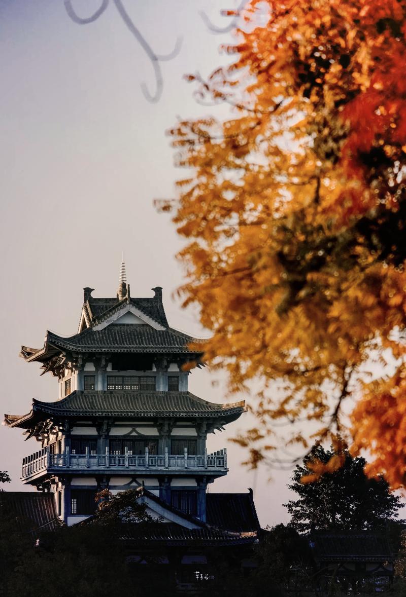 春潮烂漫海棠红!这份绝美秘境为何让人一见倾心?